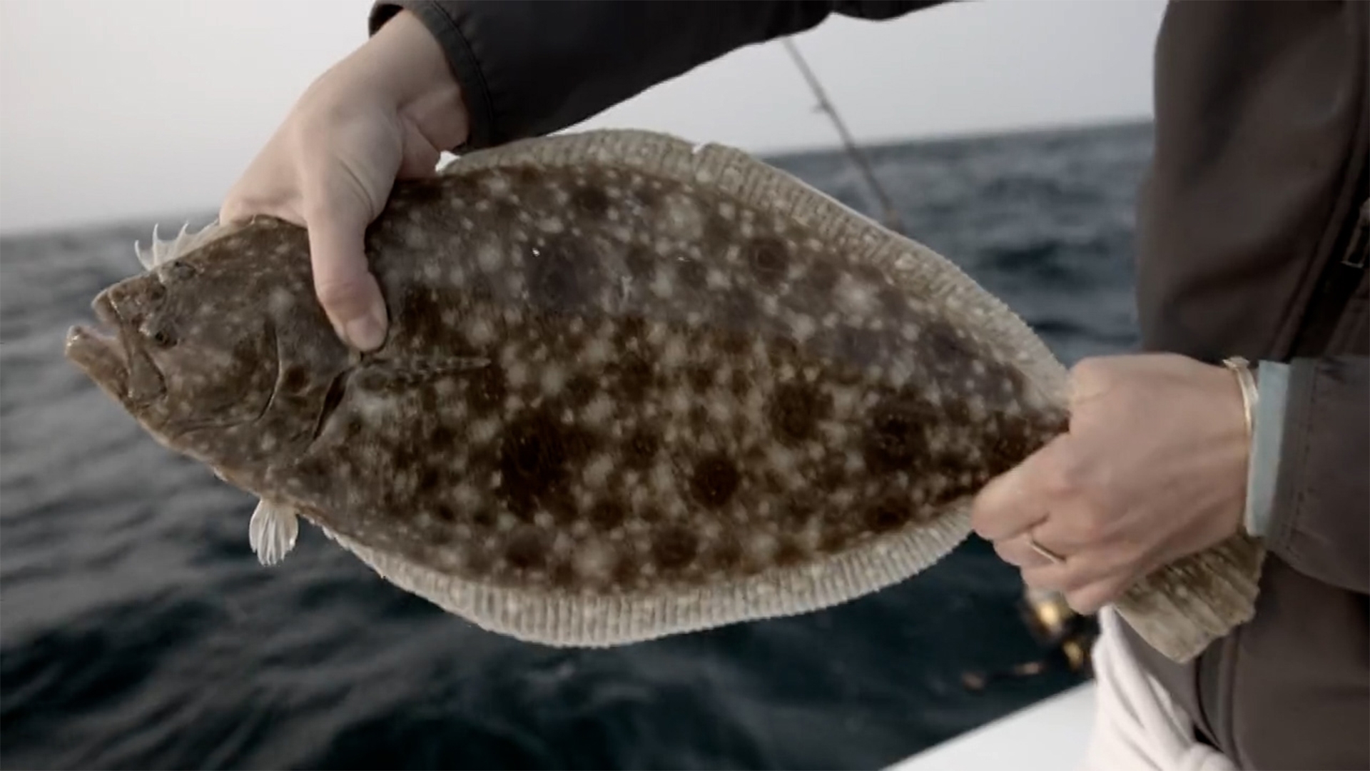 Sport Fishing TV