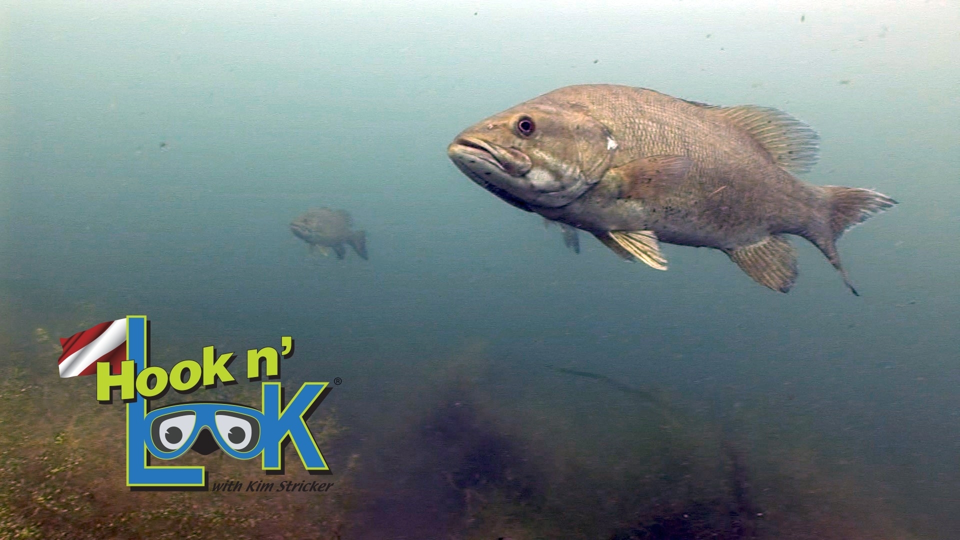 Hook 'n Look — Deeper Aspirations