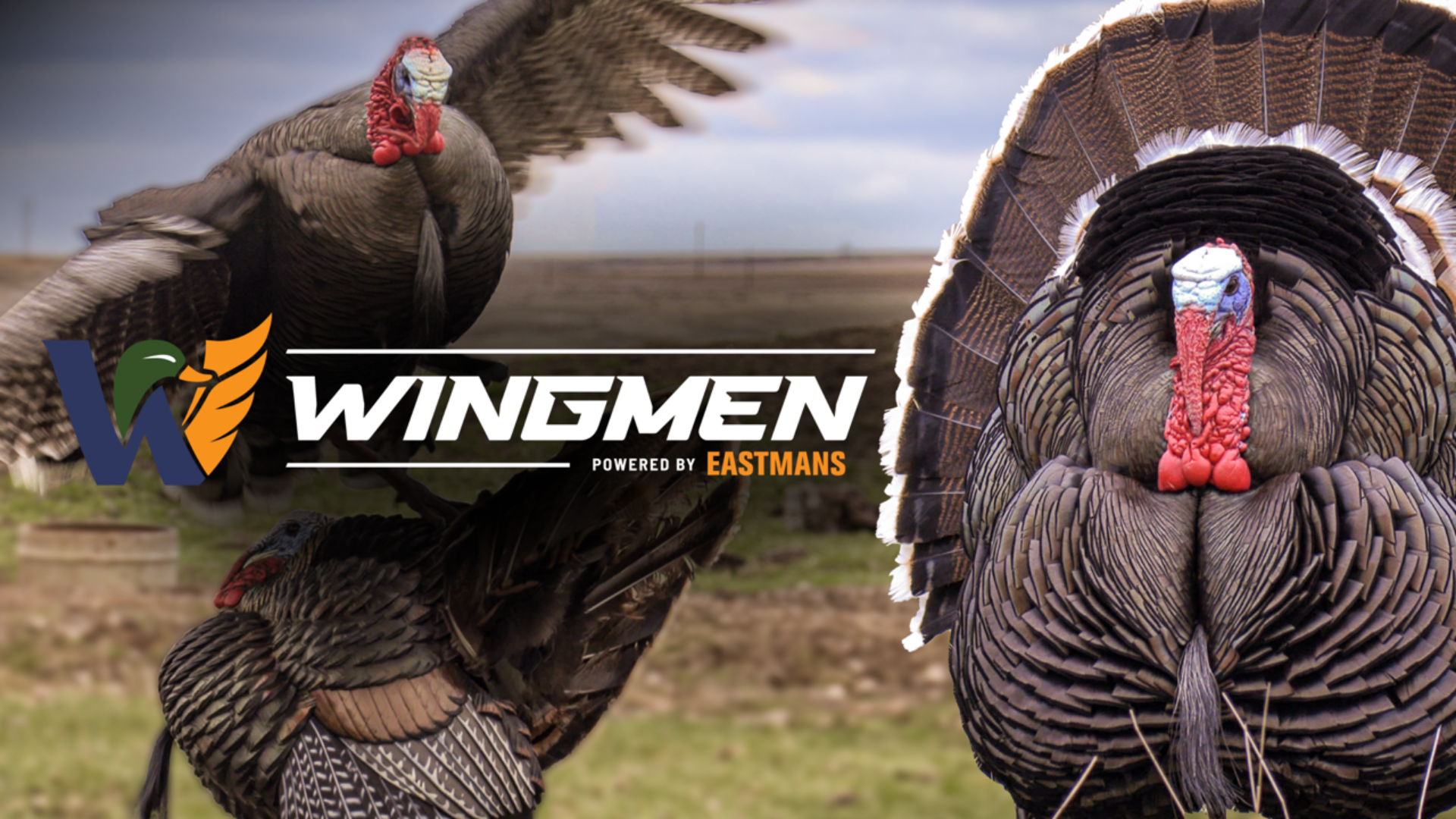 Wingmen by Eastmans'