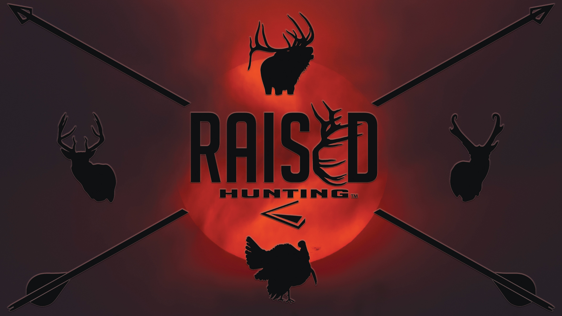 Raised Hunting