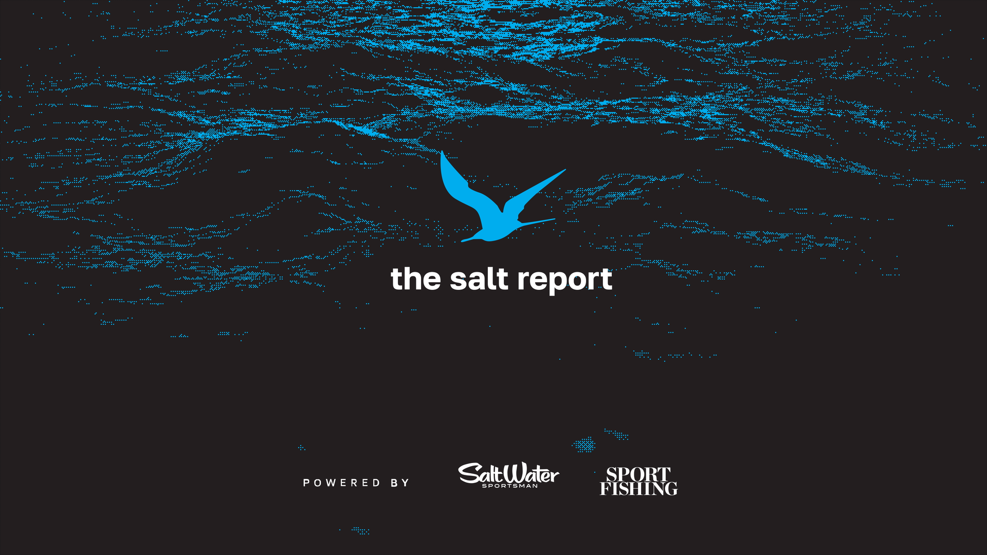 The Salt Report