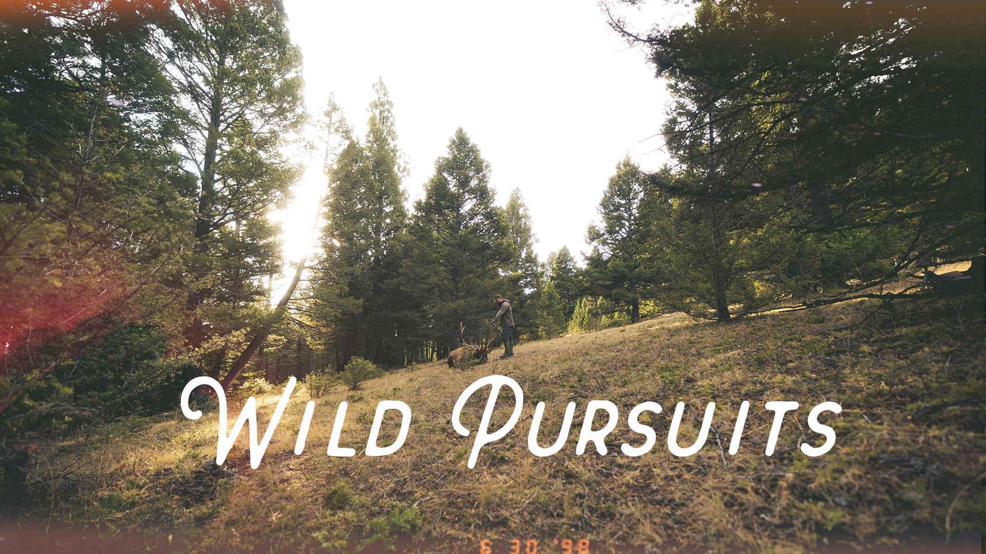 Wild Pursuits