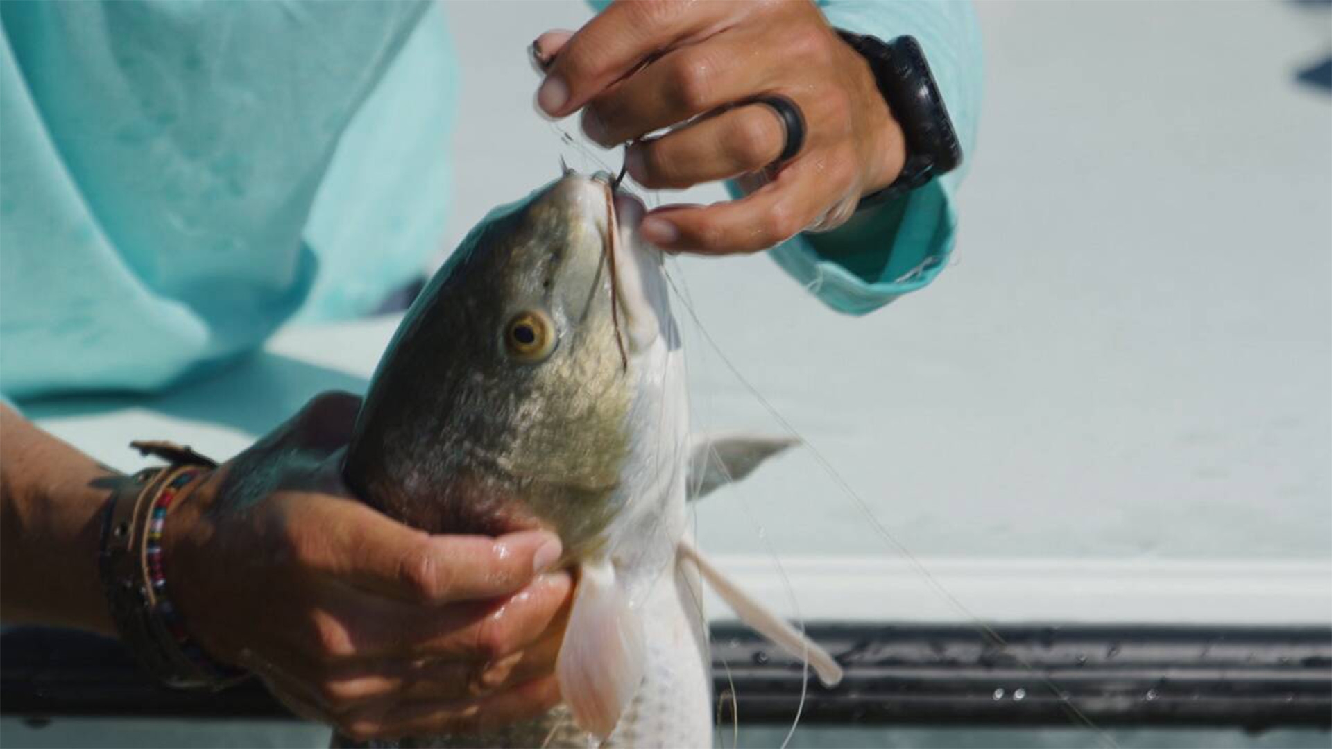 Sport Fishing TV