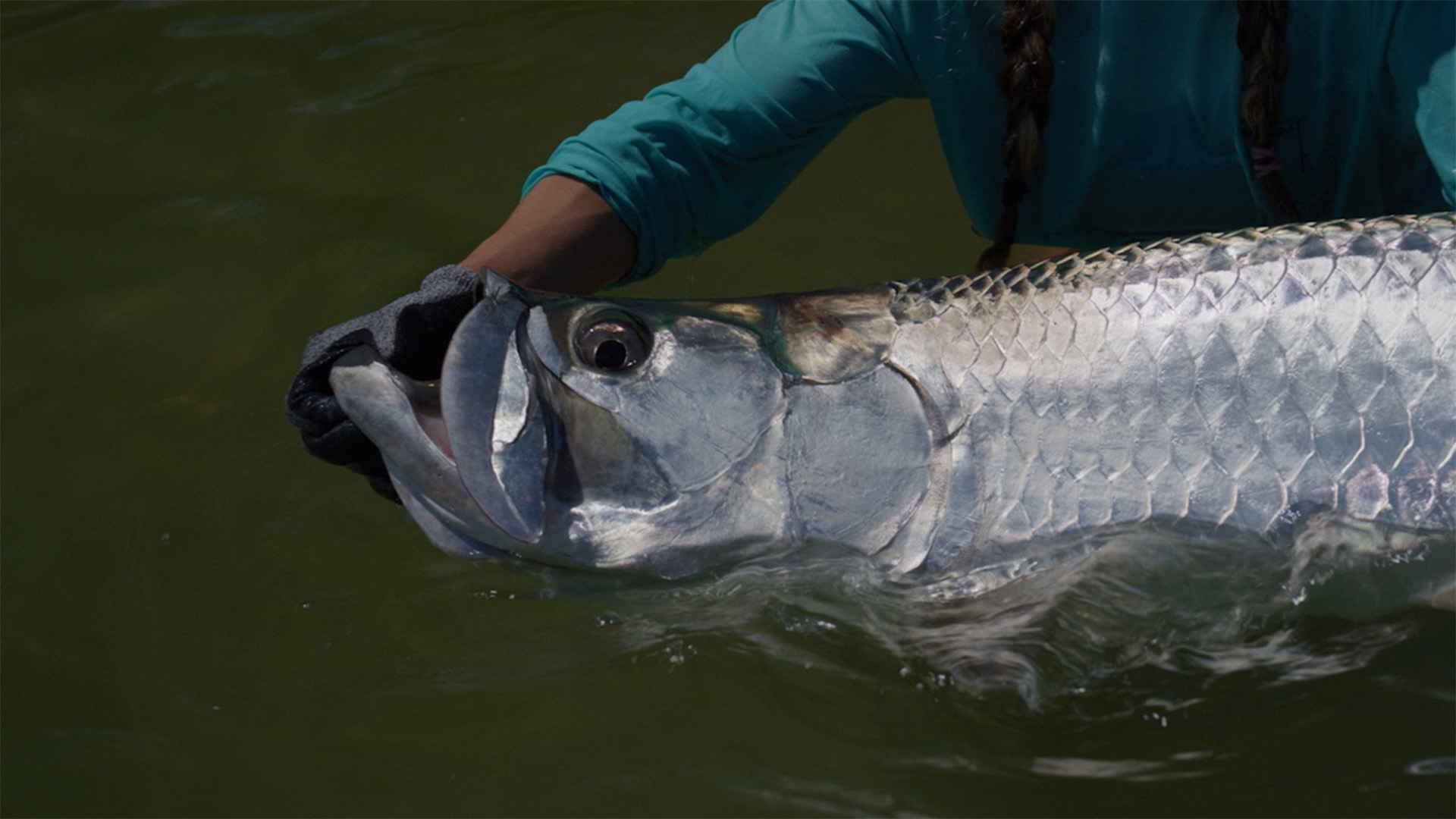 Sport Fishing TV