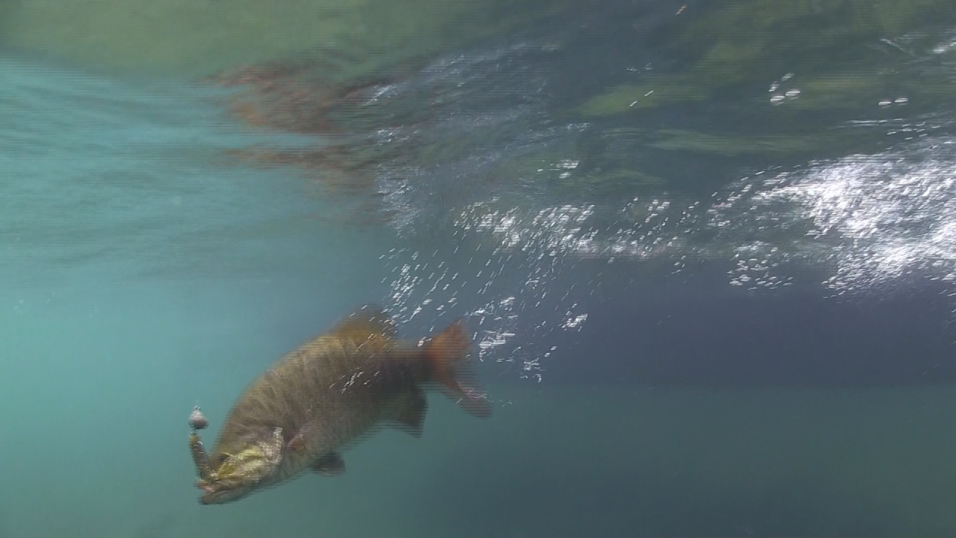 One More Cast — St Lawrence Smallmouths