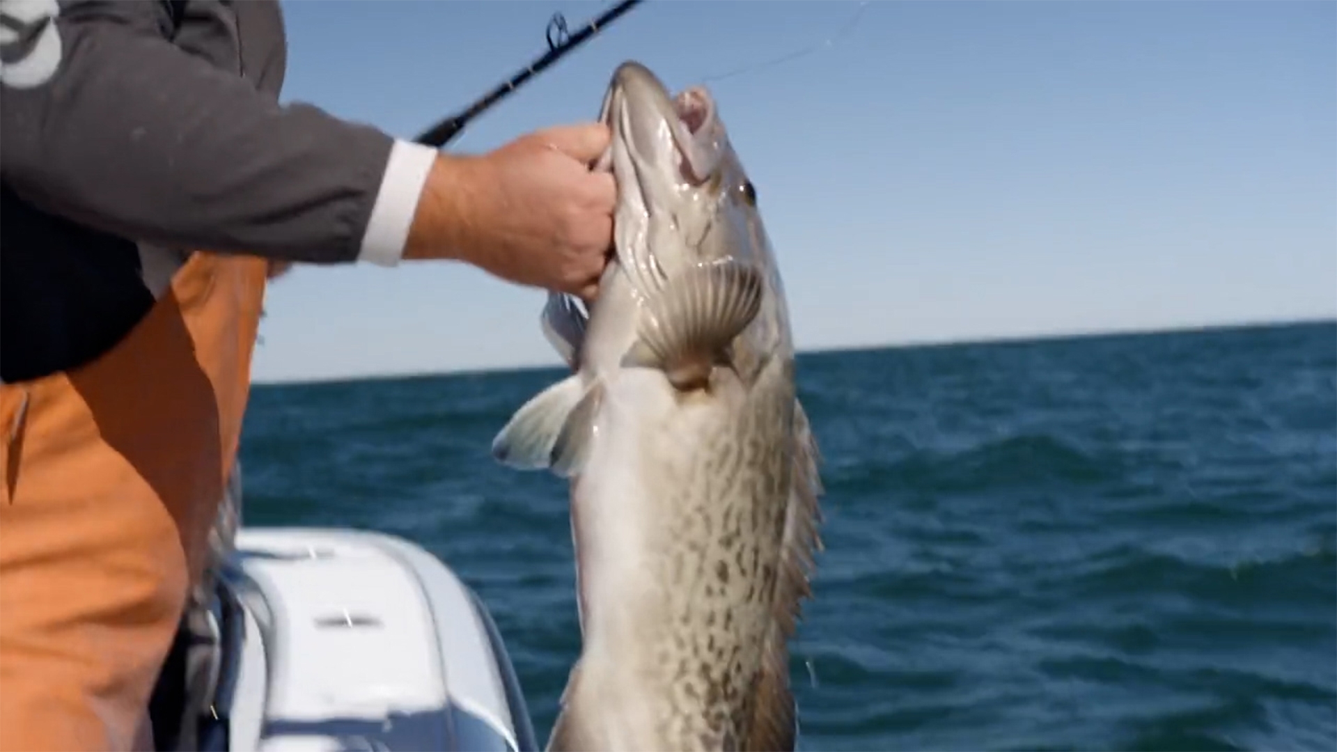 Sport Fishing TV